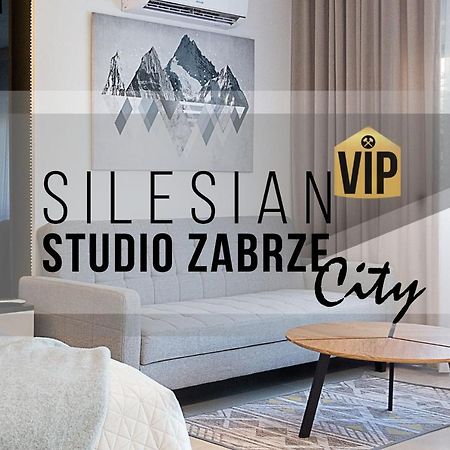 Studio Silesian Vip City Centrum Free Parking Zabrze Eksteriør bilde