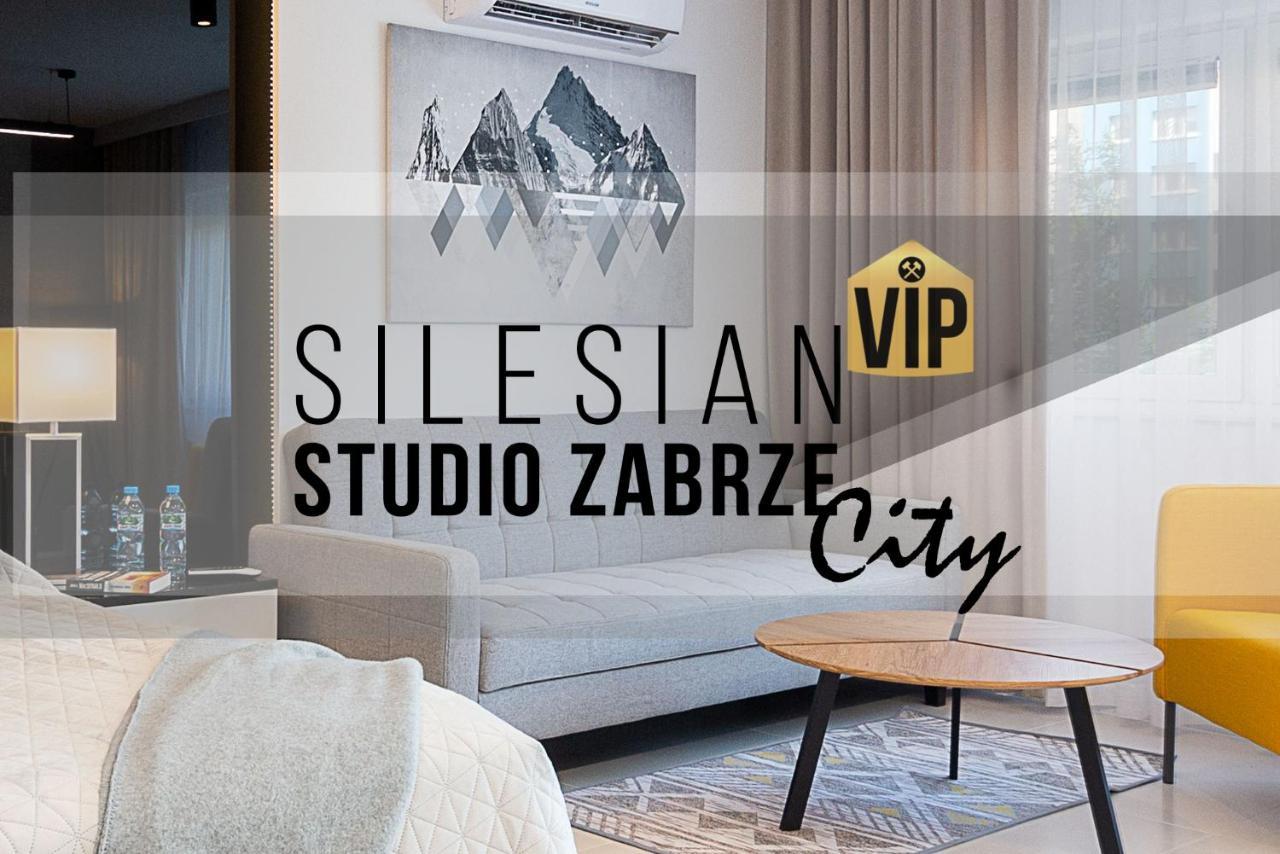 Studio Silesian Vip City Centrum Free Parking Zabrze Eksteriør bilde